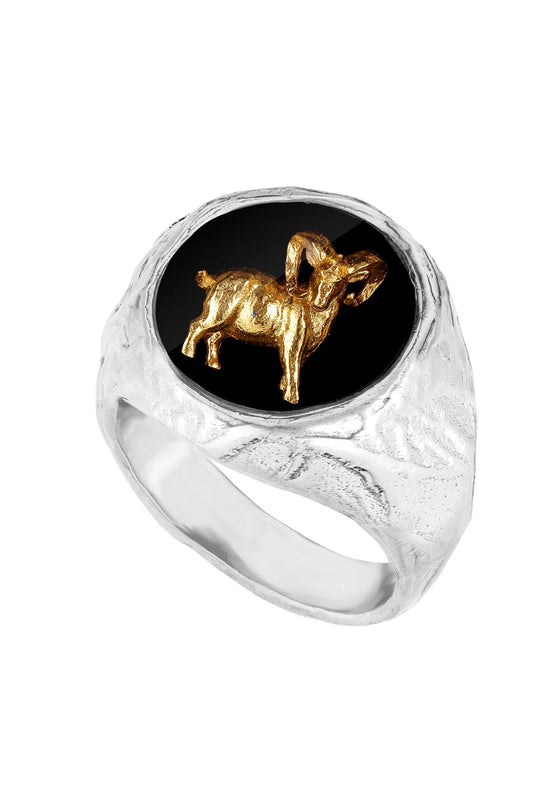 Silver signet ring with your zodiac sign No.2