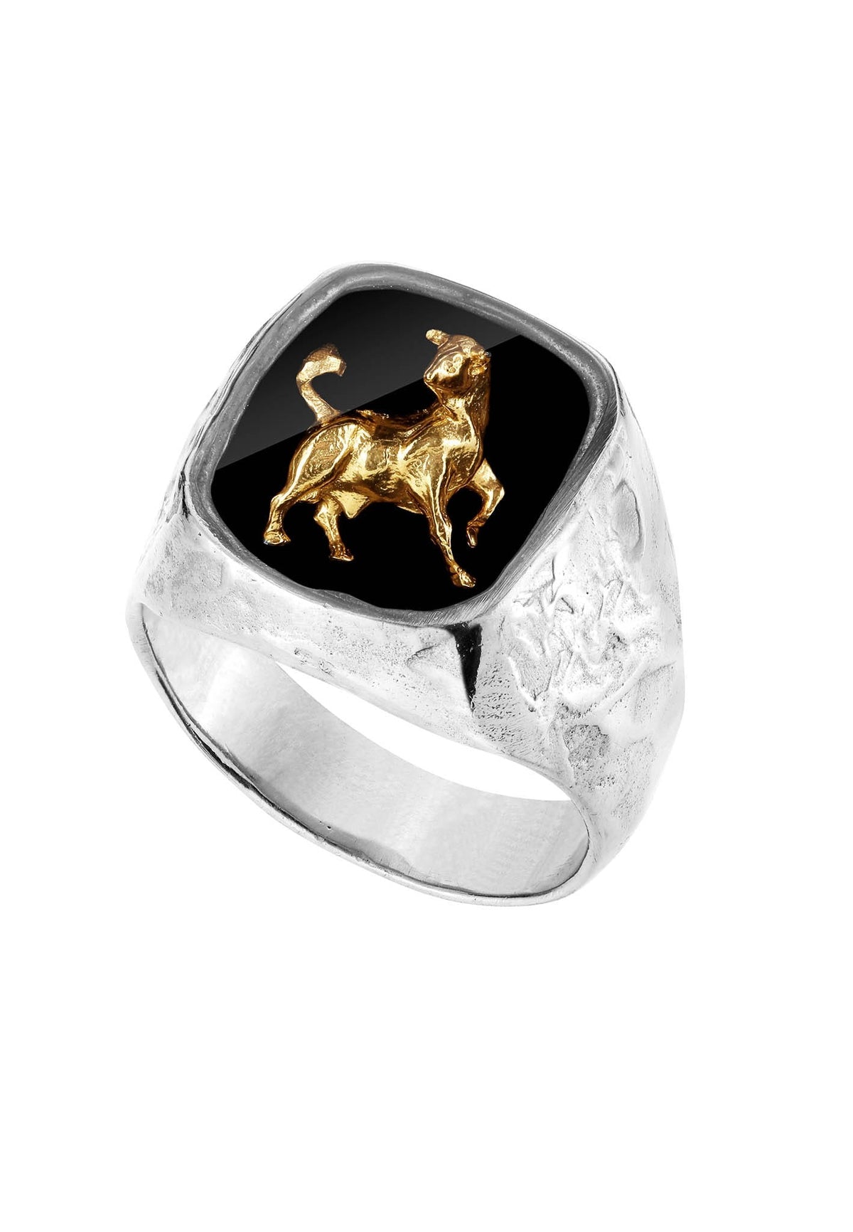 Srebrny sygnet z Twoim znakiem zodiaku No.2