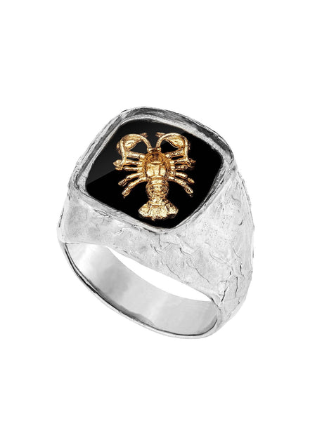 Srebrny sygnet z Twoim znakiem zodiaku No.2