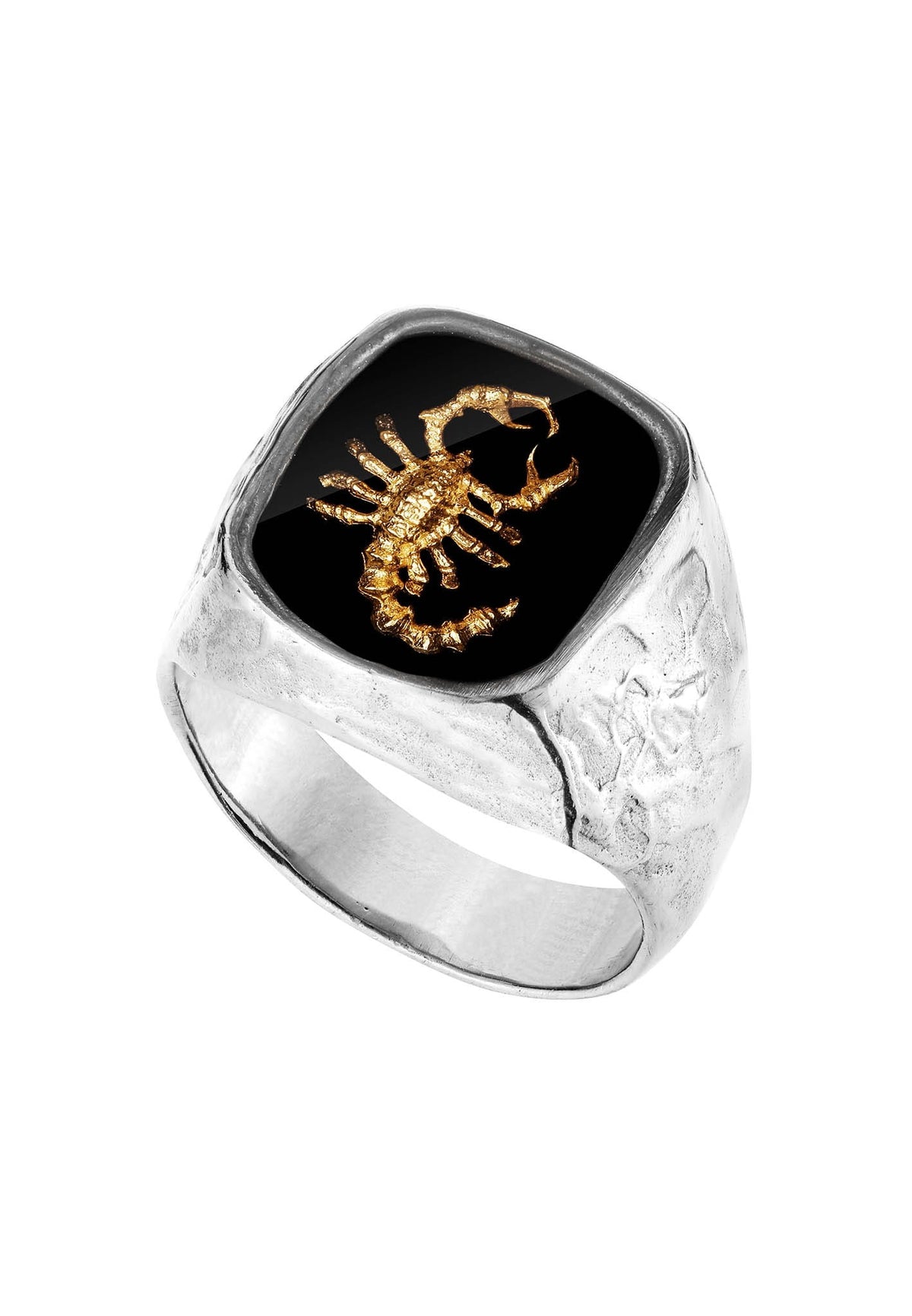 Srebrny sygnet z Twoim znakiem zodiaku No.2