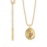 Silver snake necklace. Locket