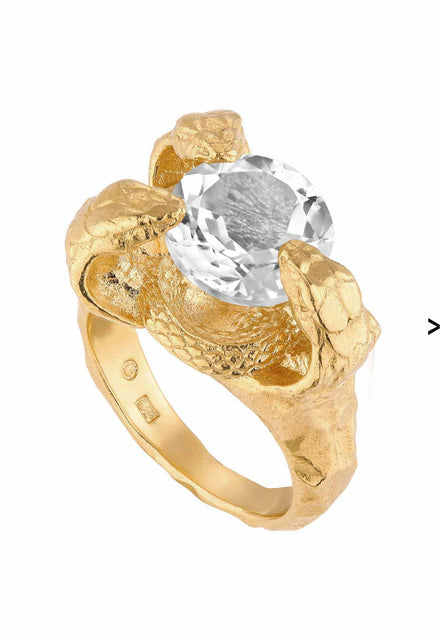 Silver ring Snake, symbol of rebirth and healing
