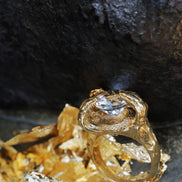 Silver ring Snake, symbol of rebirth and healing