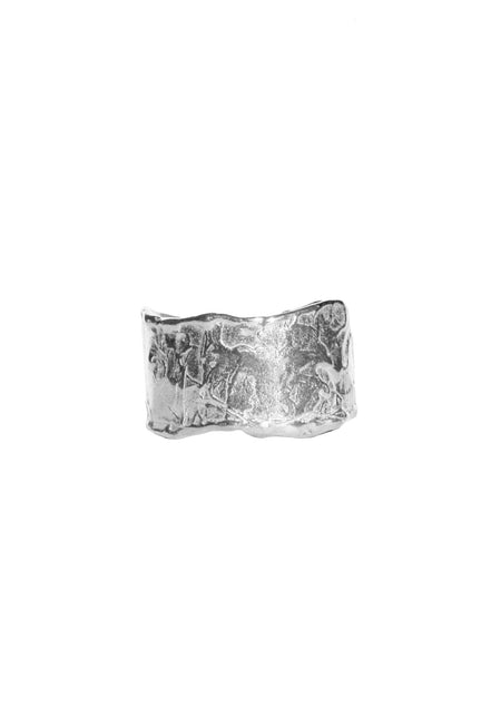 Silver ring 2:30 PM No.2