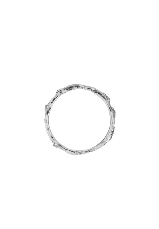 Silver band 5:06 No.2