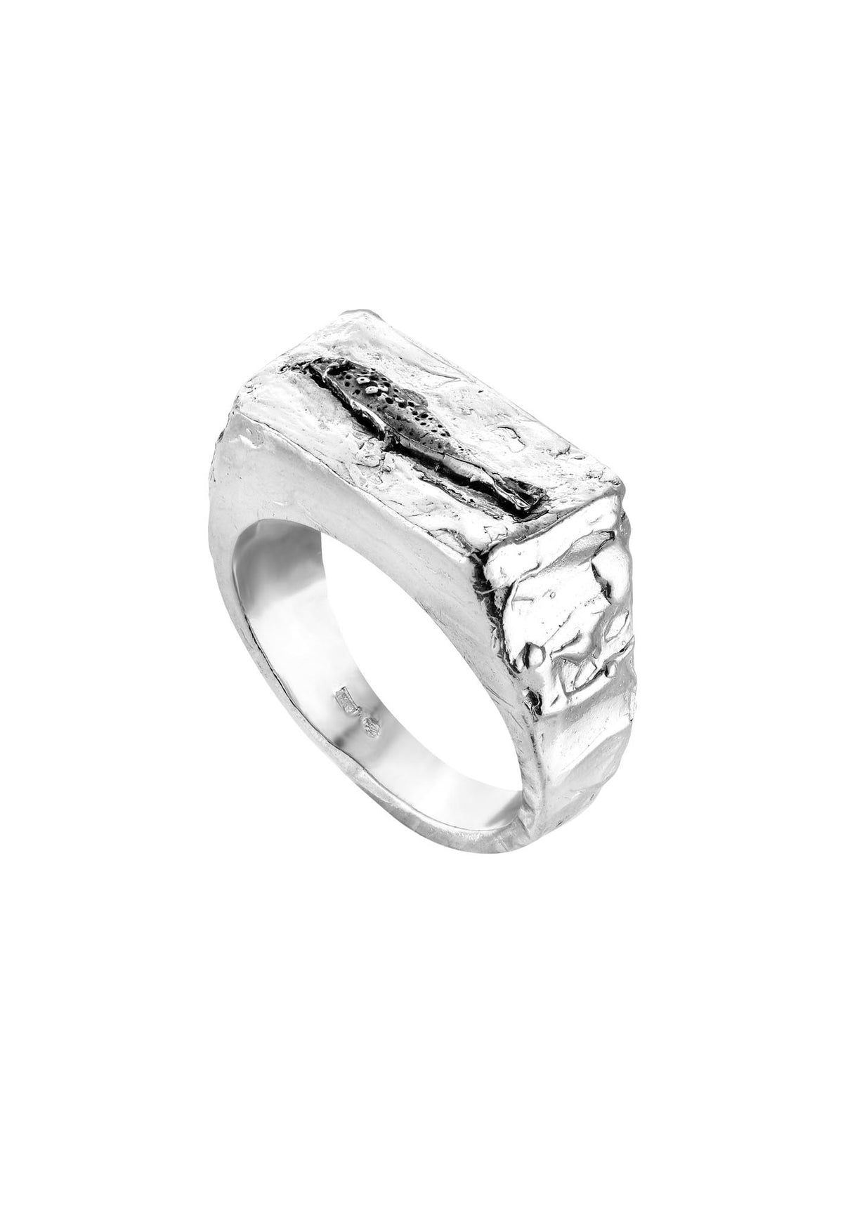 Silver signet ring No1 FISH spiritual compass