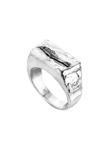 Silver signet ring No1 FISH spiritual compass