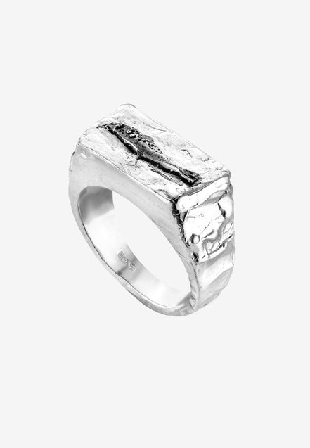 Silver signet ring No1 FISH spiritual compass