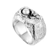 Silver signet ring No1 FISH spiritual compass