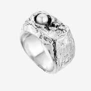 Silver signet ring No1 FISH spiritual compass