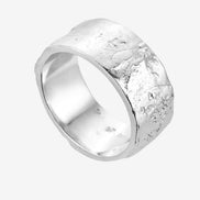 Silver signet ring No1 FISH spiritual compass