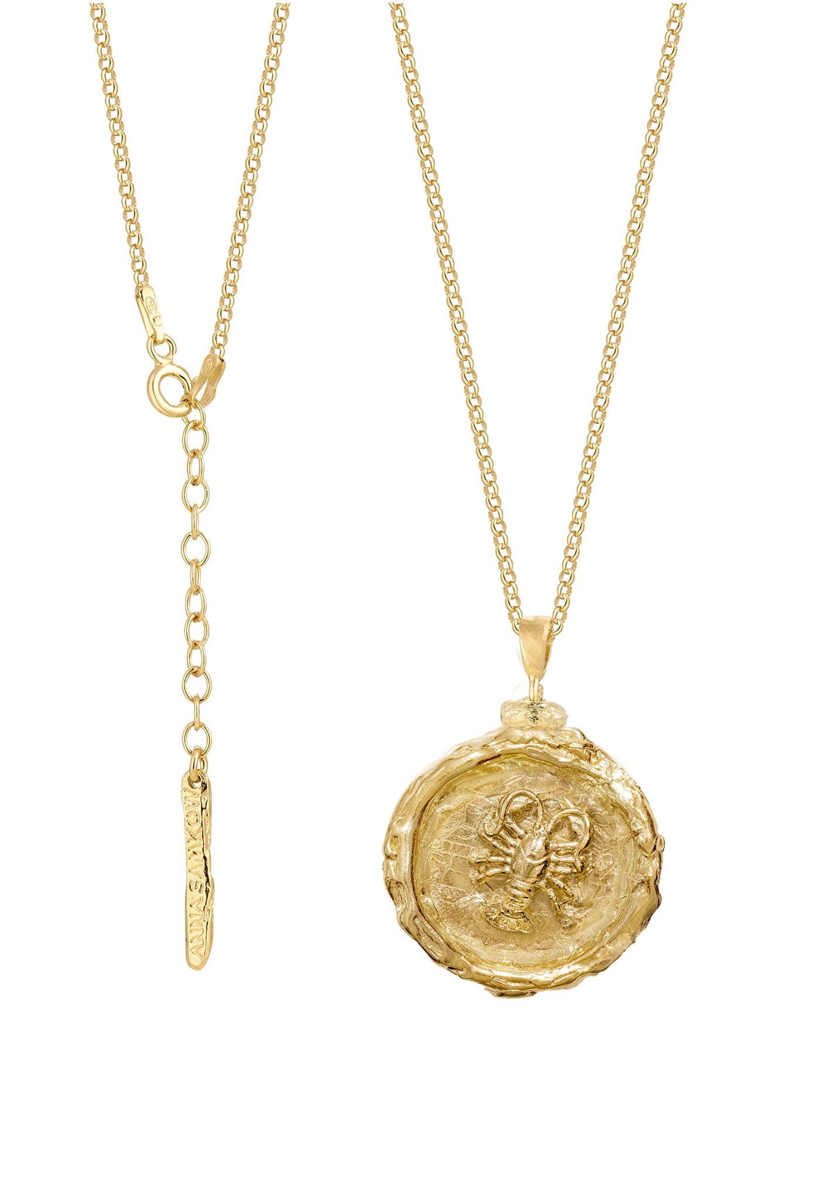 Naszyjnik medalion z Twoim znakiem zodiaku No.1